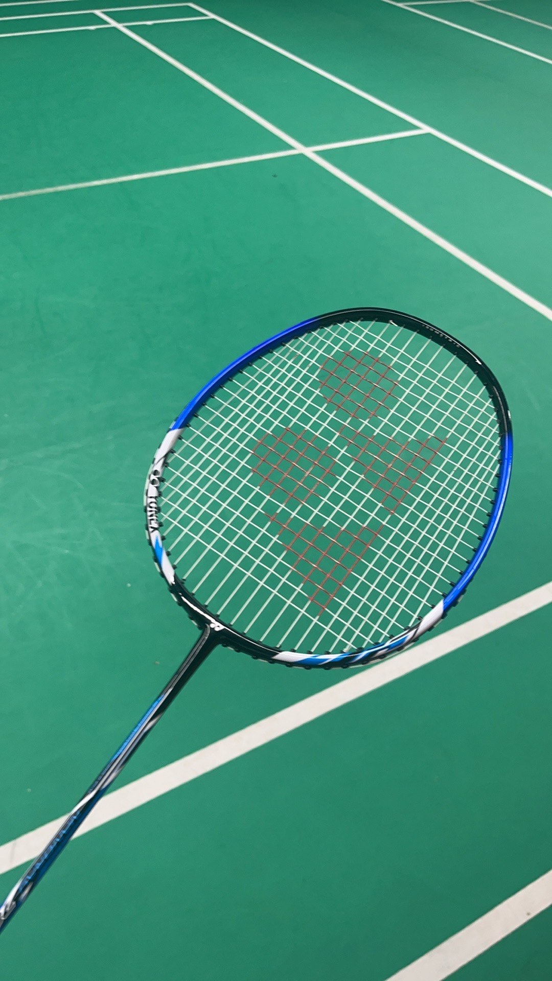 着与忠诚 着与忠诚